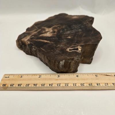 LOT 3: 18th, 19th Century Powder Horn , Brass Cobra Candle Holder, Polished Slab of Petrified Wood, and Vintage Leather Bull Whip