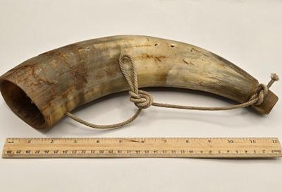 LOT 3: 18th, 19th Century Powder Horn , Brass Cobra Candle Holder, Polished Slab of Petrified Wood, and Vintage Leather Bull Whip