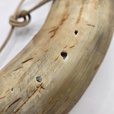 LOT 3: 18th, 19th Century Powder Horn , Brass Cobra Candle Holder, Polished Slab of Petrified Wood, and Vintage Leather Bull Whip