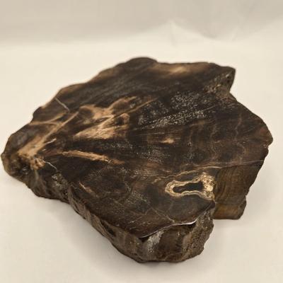 LOT 3: 18th, 19th Century Powder Horn , Brass Cobra Candle Holder, Polished Slab of Petrified Wood, and Vintage Leather Bull Whip