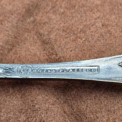 LOT 17: Collectible Spoons and More