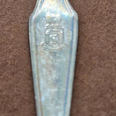LOT 17: Collectible Spoons and More