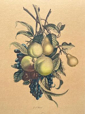 LOT 110: Two Vintage Jean Louis Prevost Prints