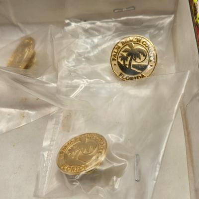 LOT 166: Multiple Pins and Lapel Pins