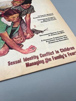 LOT 222: Vintage Adult Material - Mr. Magazine, Sexual Medicine Today