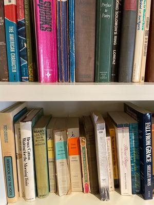 Vintage books (3 shelves)