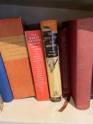 Vintage books (3 shelves)