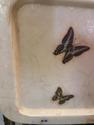 Vintage butterfly TV trays