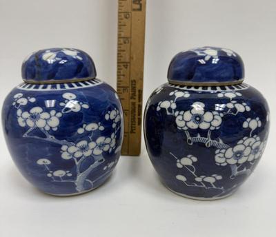 Chinese Porcelain Blue & White Hawthorne Prunus Cracked Ice Vase Ginger Jar