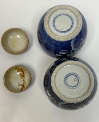 Chinese Porcelain Blue & White Hawthorne Prunus Cracked Ice Vase Ginger Jar