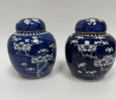 Chinese Porcelain Blue & White Hawthorne Prunus Cracked Ice Vase Ginger Jar