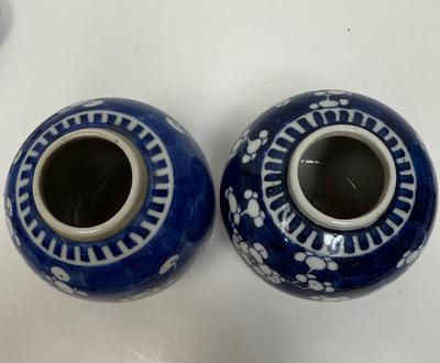 Chinese Porcelain Blue & White Hawthorne Prunus Cracked Ice Vase Ginger Jar