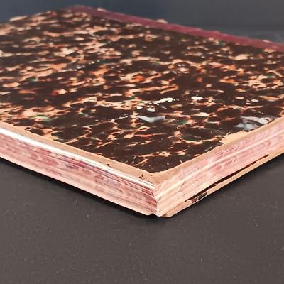 LOT 274: Dept. of the Interior 1890 Census with a Handwritten Journal From 1880s Philadelphia & More