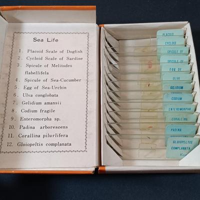LOT 349: Vintage Perfect Model 805 Microscope w/ Sears Sea Life Slide Set, Underwriters Lab. Safety Can & Books