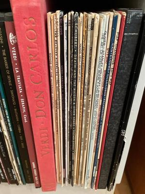 Record albums with bookcase