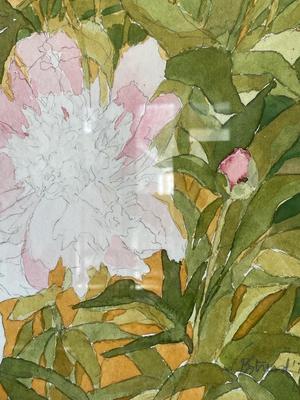 Watercolor by Elizabeth Strand