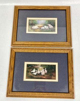 Pair of Small Framed and Matted Prints Farm Animals Pigs Ducks