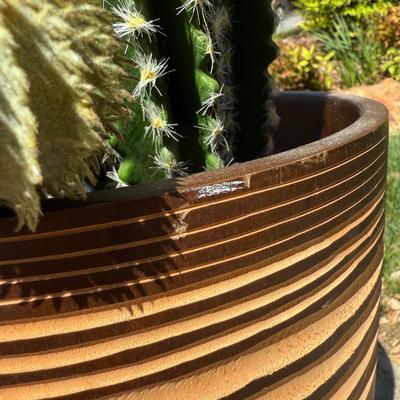 Potted Faux Cactus in Carved Wood Planter (G-HS)