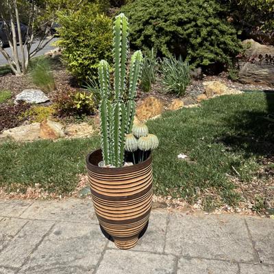 Potted Faux Cactus in Carved Wood Planter (G-HS)