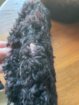 Fur hat and collar, curly hat