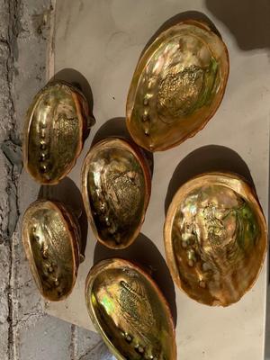 Six shells