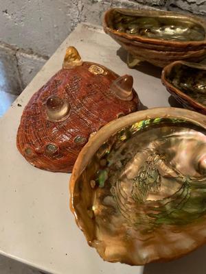 Six shells