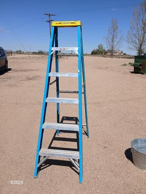 Nice! Werner 6-Foot Fiberglass Step Ladder – Type II 225 lb Rated