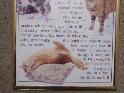 A Cat's Wisdom" framed poster, 36"x10"