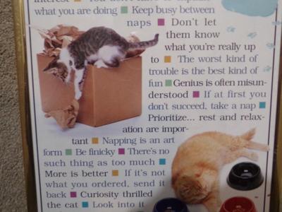 A Cat's Wisdom" framed poster, 36"x10"