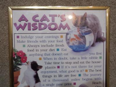 A Cat's Wisdom" framed poster, 36"x10"