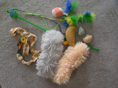 Collection of cat toys, gently used
