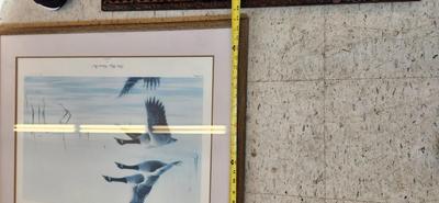3 large framed prints