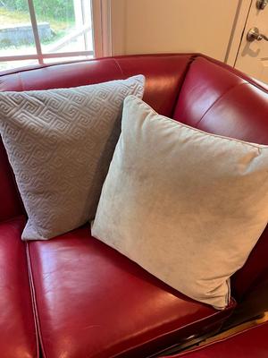 Grey Accent Cushions W/Down Pillows (L-RG)