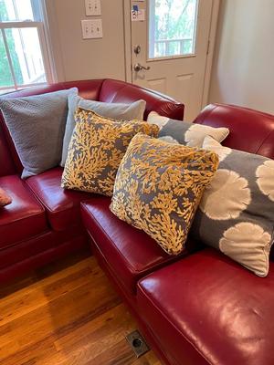 Grey Accent Cushions W/Down Pillows (L-RG)