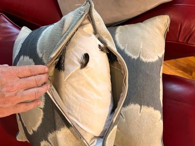 Grey Accent Cushions W/Down Pillows (L-RG)