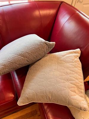 Grey Accent Cushions W/Down Pillows (L-RG)