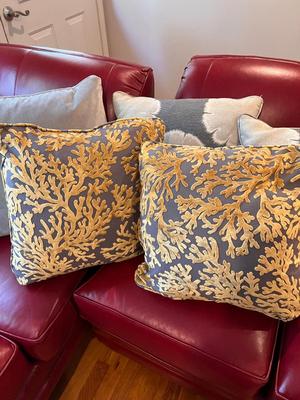 Grey Accent Cushions W/Down Pillows (L-RG)