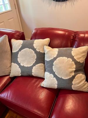 Grey Accent Cushions W/Down Pillows (L-RG)
