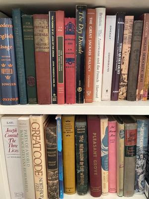 Large Variety of books