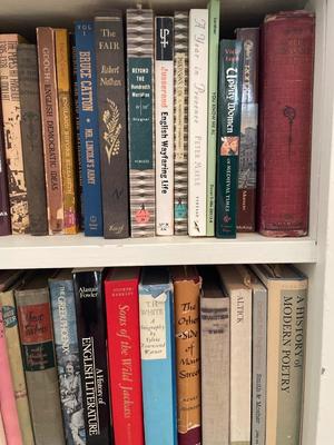 Large Variety of books