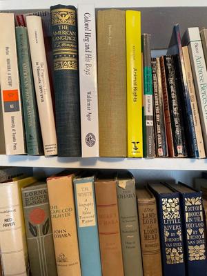 Large variety of books