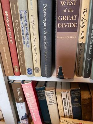 Norwegian books and others