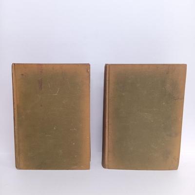LOT 111: Vintage Sci-Fi Paperbacks, A House-Boat on the River Styx 1895 & The World of William Clissold 1926 Volumes I and II