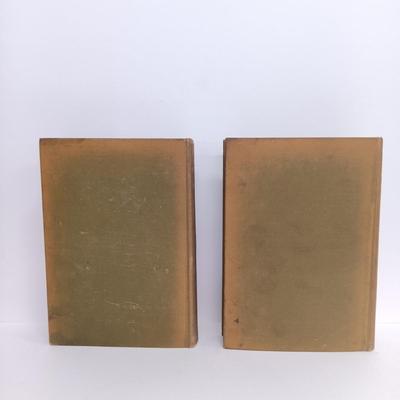 LOT 111: Vintage Sci-Fi Paperbacks, A House-Boat on the River Styx 1895 & The World of William Clissold 1926 Volumes I and II