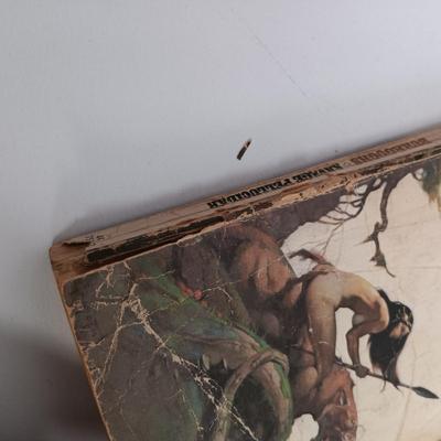 LOT 114: Vintage Edgar Rice Burroughs Collection- A Princess of Mars 1970, Carson of Venus 1963 & More