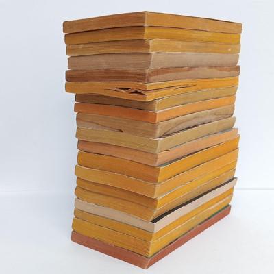 LOT 114: Vintage Edgar Rice Burroughs Collection- A Princess of Mars 1970, Carson of Venus 1963 & More