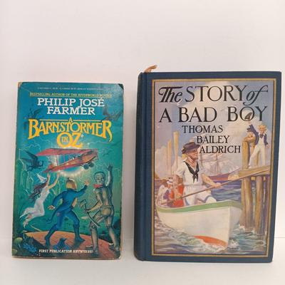 LOT 115: US Navy's Survival on Land and Sea 1944, Aldrich's The Story of a Bad Boy 1927, The American Boys Handy Book 1966...