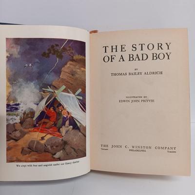 LOT 115: US Navy's Survival on Land and Sea 1944, Aldrich's The Story of a Bad Boy 1927, The American Boys Handy Book 1966...