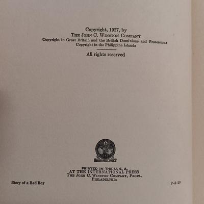 LOT 115: US Navy's Survival on Land and Sea 1944, Aldrich's The Story of a Bad Boy 1927, The American Boys Handy Book 1966...