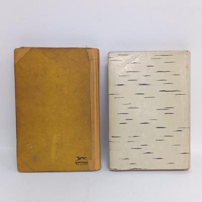 LOT 115: US Navy's Survival on Land and Sea 1944, Aldrich's The Story of a Bad Boy 1927, The American Boys Handy Book 1966...